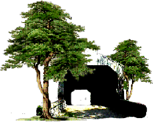 treebridge.gif